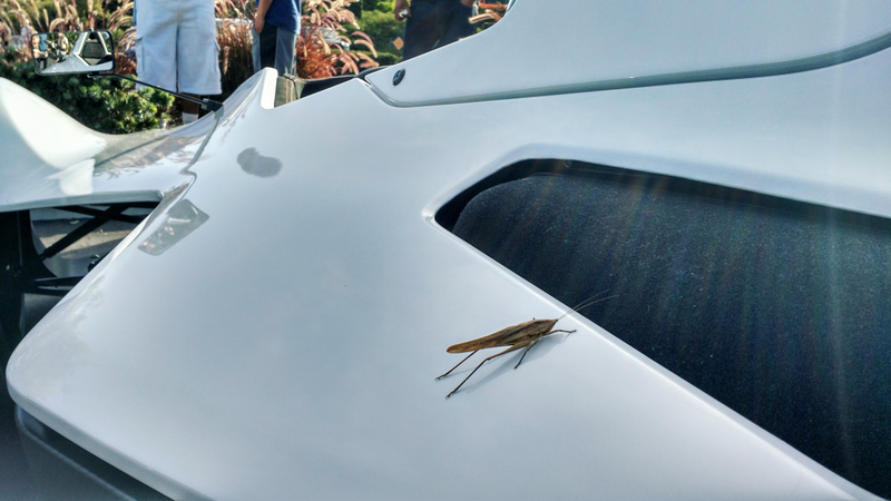 Illustration for article titled BAC Mono: A Grasshopper's Review